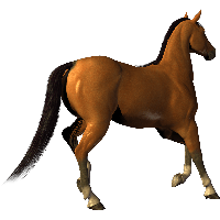 200x200 Download Rock Transparent Hq Png Image Freepngimg