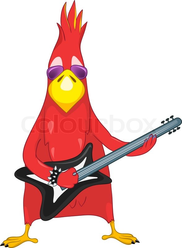 587x800 Funny Parrot Rock Star Stock Vector Colourbox