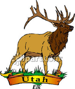 252x300 Animal Of Utah, The Rocky Mountain Elk Anda Gold Utah Banner