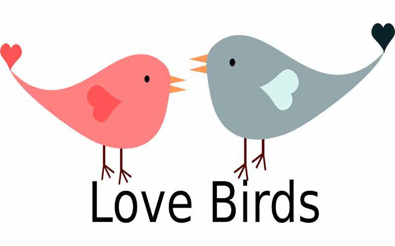 800x500 Romantic Clipart Love Quotes