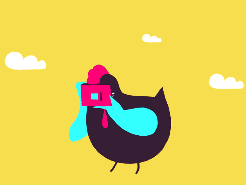 800x600 Cock A Doodle Doo! It's The Year Of The Rooster Gif Six Pack