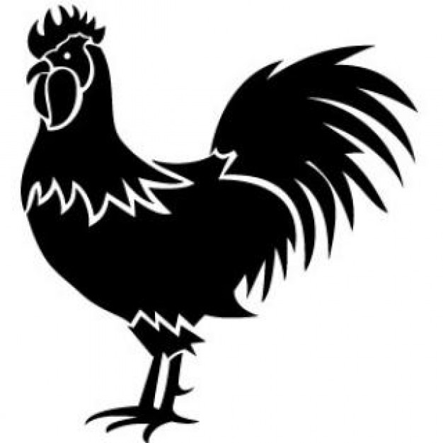 626x626 Animated Rooster Clipart Clipartix