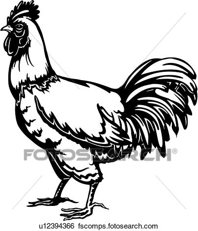 403x470 Clip Art Of , Animal, Farm, Rooster, U12394366