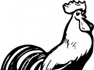 310x233 Rooster Clip Art Free Vectors Ui Download
