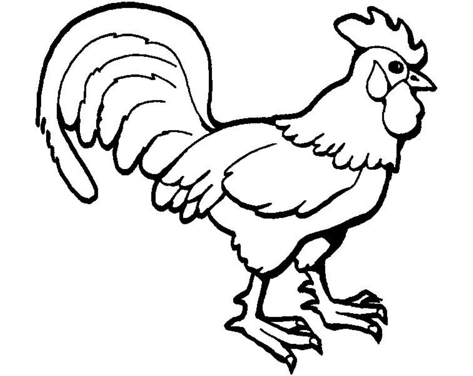 1595x1266 Rooster Clipart Coloring