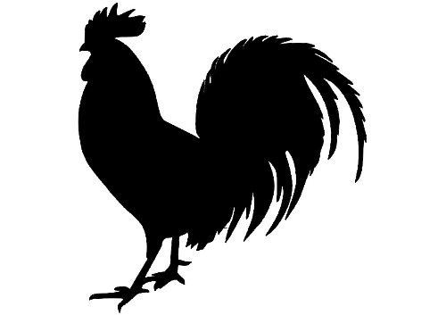 500x353 Rooster Free Clip Art Clipart 3 Clipartix 2