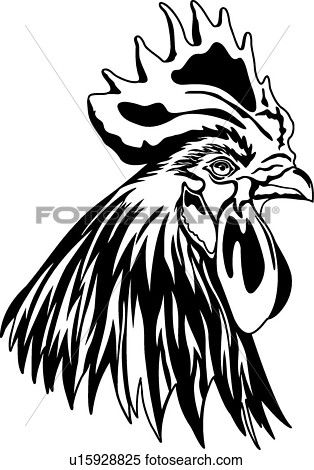 314x470 67 Best Roosters Images Symbols, Chicken And Clip Art