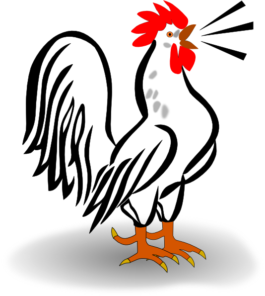 534x595 Free Rooster Clipart Image