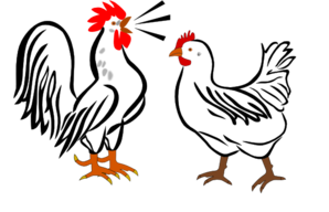298x192 Hen And Rooster Clip Art