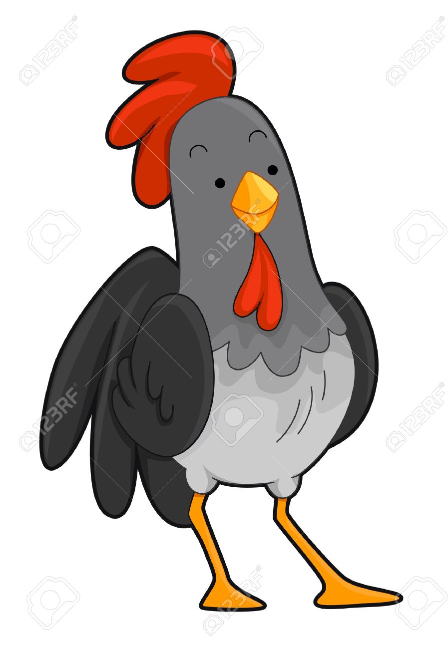 897x1300 Top 72 Rooster Clip Art