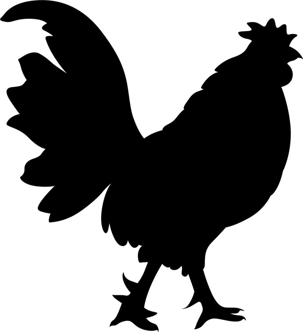 593x650 Rooster Clipart