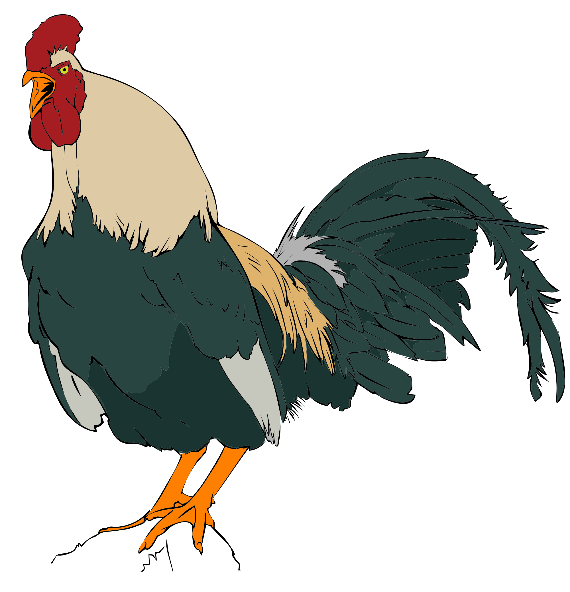 2000x2075 Rooster Clip Art Vector Graphics