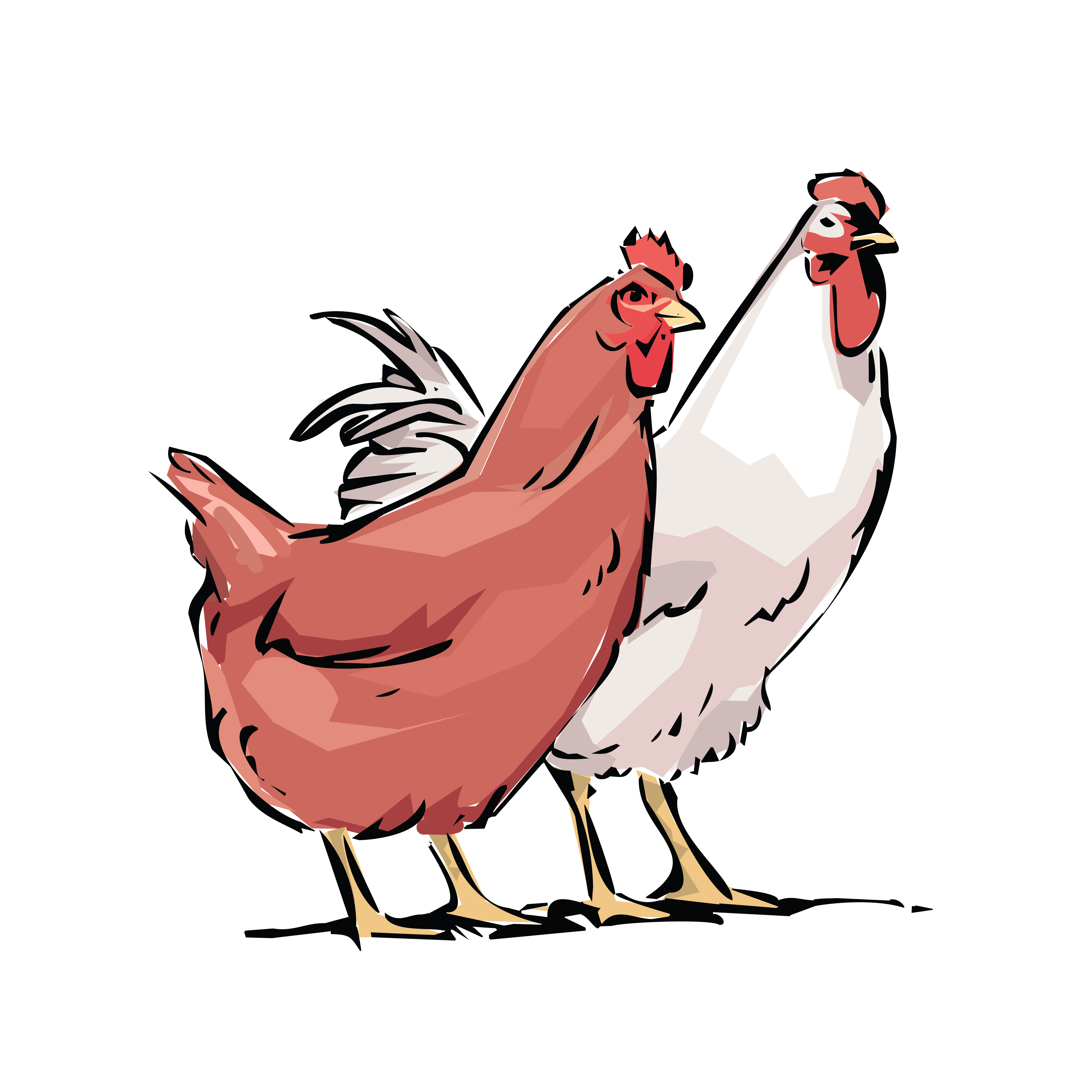 4000x4000 Clipart Of A Chicken Hen And Rooster