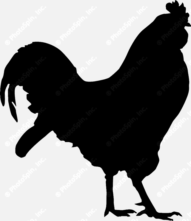 640x741 Rooster Silhouette Clipart