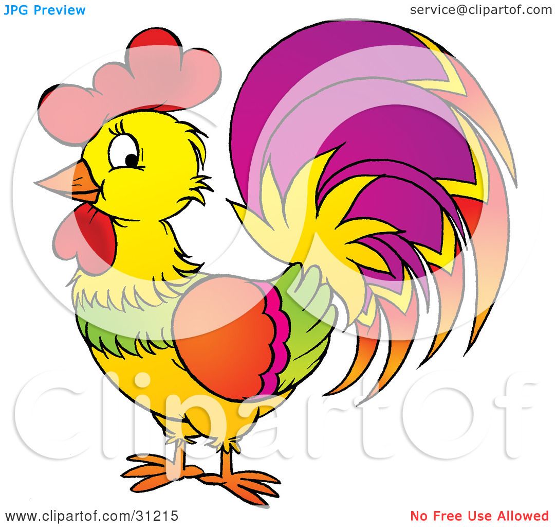 1080x1024 Rooster Feather Clipart, Explore Pictures