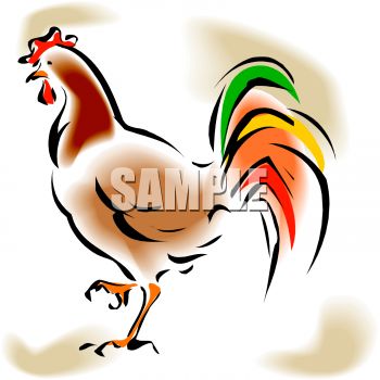 350x350 Rooster With Colored Tail Feathers
