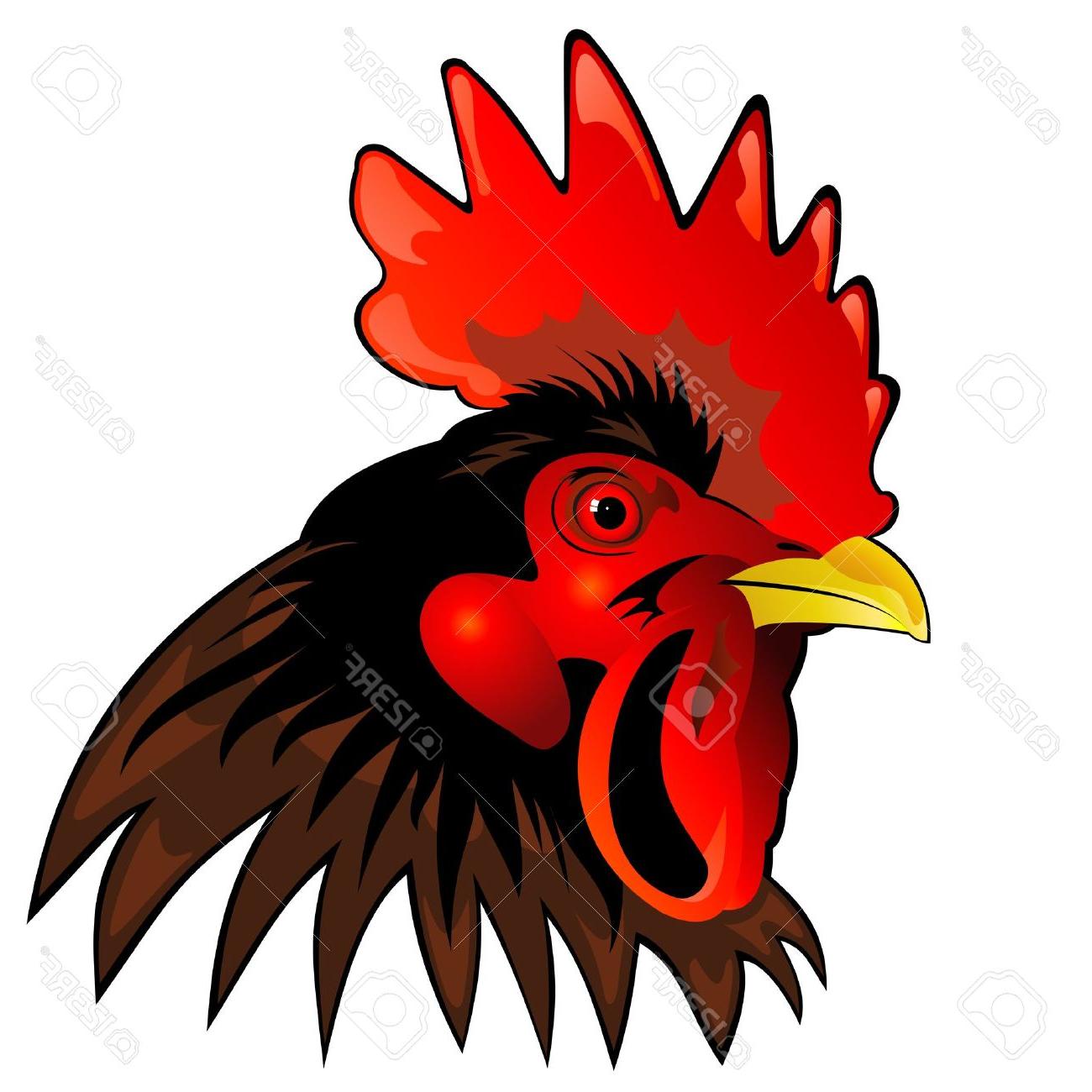 1300x1300 Top Rooster Head Clipart Drawing
