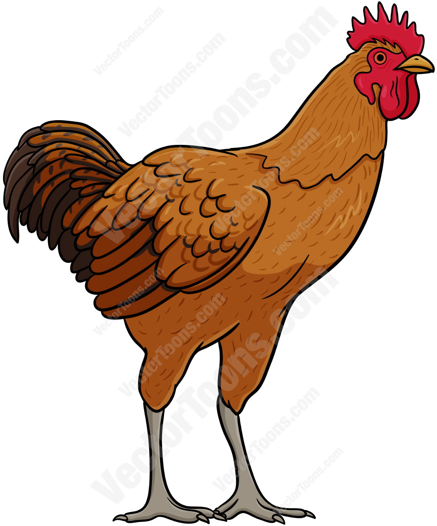 852x1024 Brown Clipart Rooster
