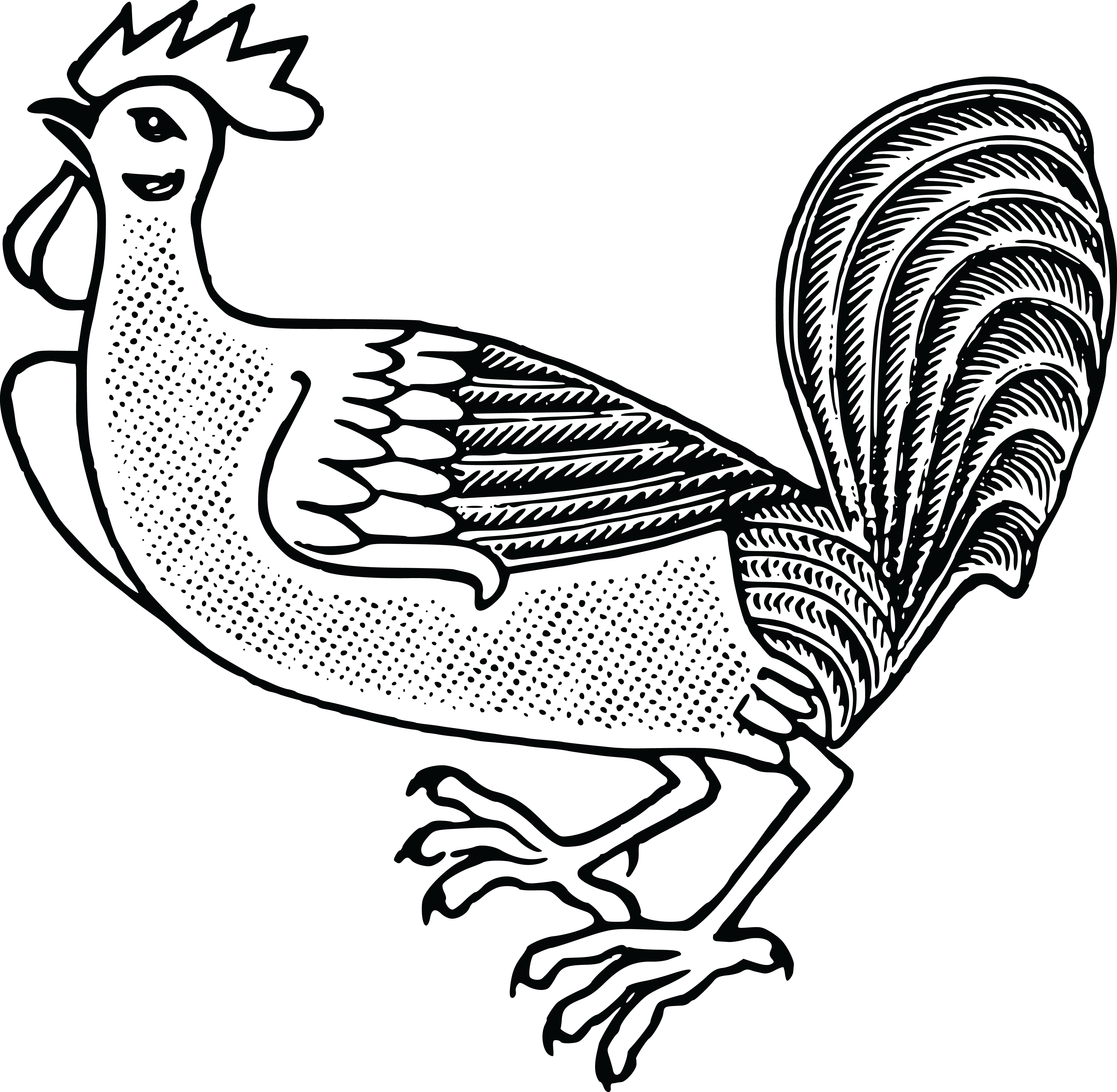 4000x3912 Free Clipart Of A Rooster