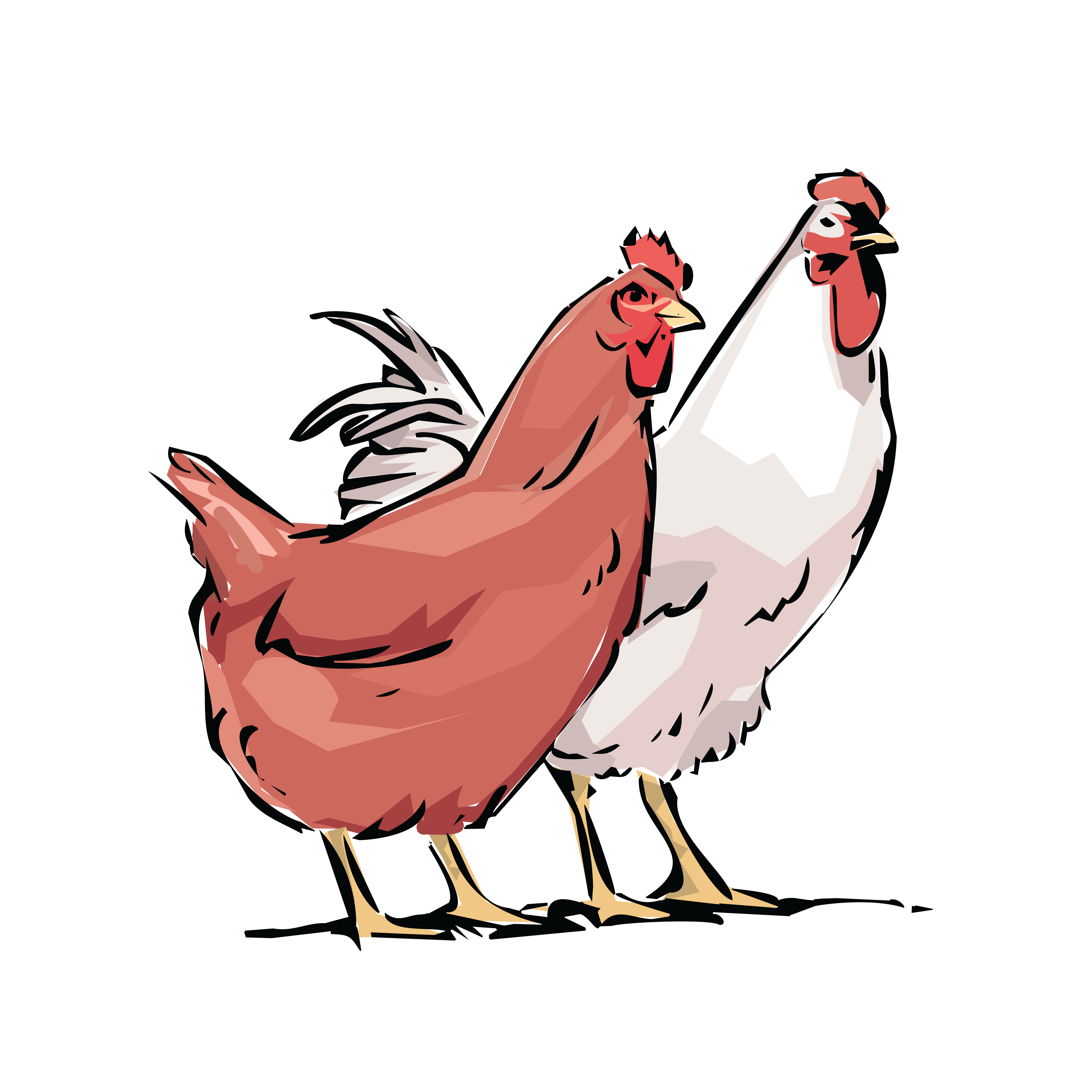 4000x4000 Free Clipart Of A Chicken Hen And Rooster