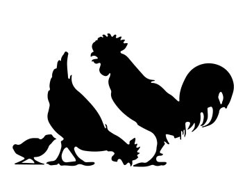 340x270 Rooster Cock Etsy