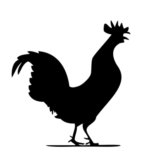 500x515 Why A Rooster Resurrection Church