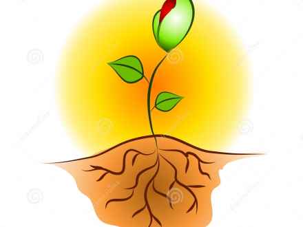 440x330 Go Back Gt Pix For Gt Potted Plant Clip Art, Planter Clip Art