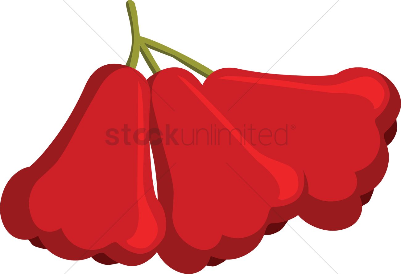 1300x890 Free Rose Apple Over A White Background Vector Image