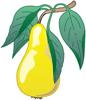 299x350 Rose Apple Clip Art, Vector Rose Apple