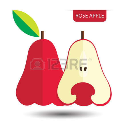 427x450 Rose Apple Clipart