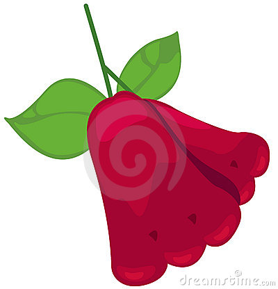 400x416 Apple Clipart
