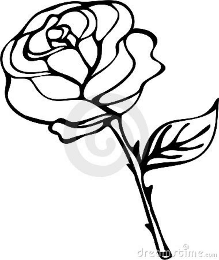 760x900 Rose Black And White Clipart