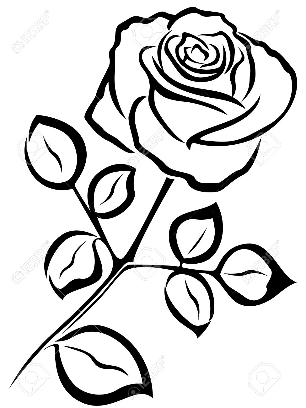 975x1300 Black Vector Outline Of Single Rose Flower Isolated On A White