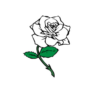 300x300 Free White Rose Clipart