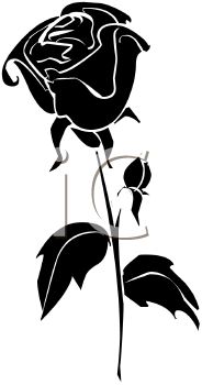 184x350 White Rose Clipart Rose Vine