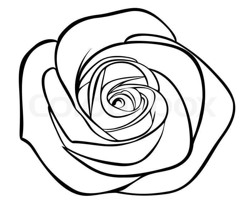 Rose Black And White Clipart Free Download On Clipartmag 6213