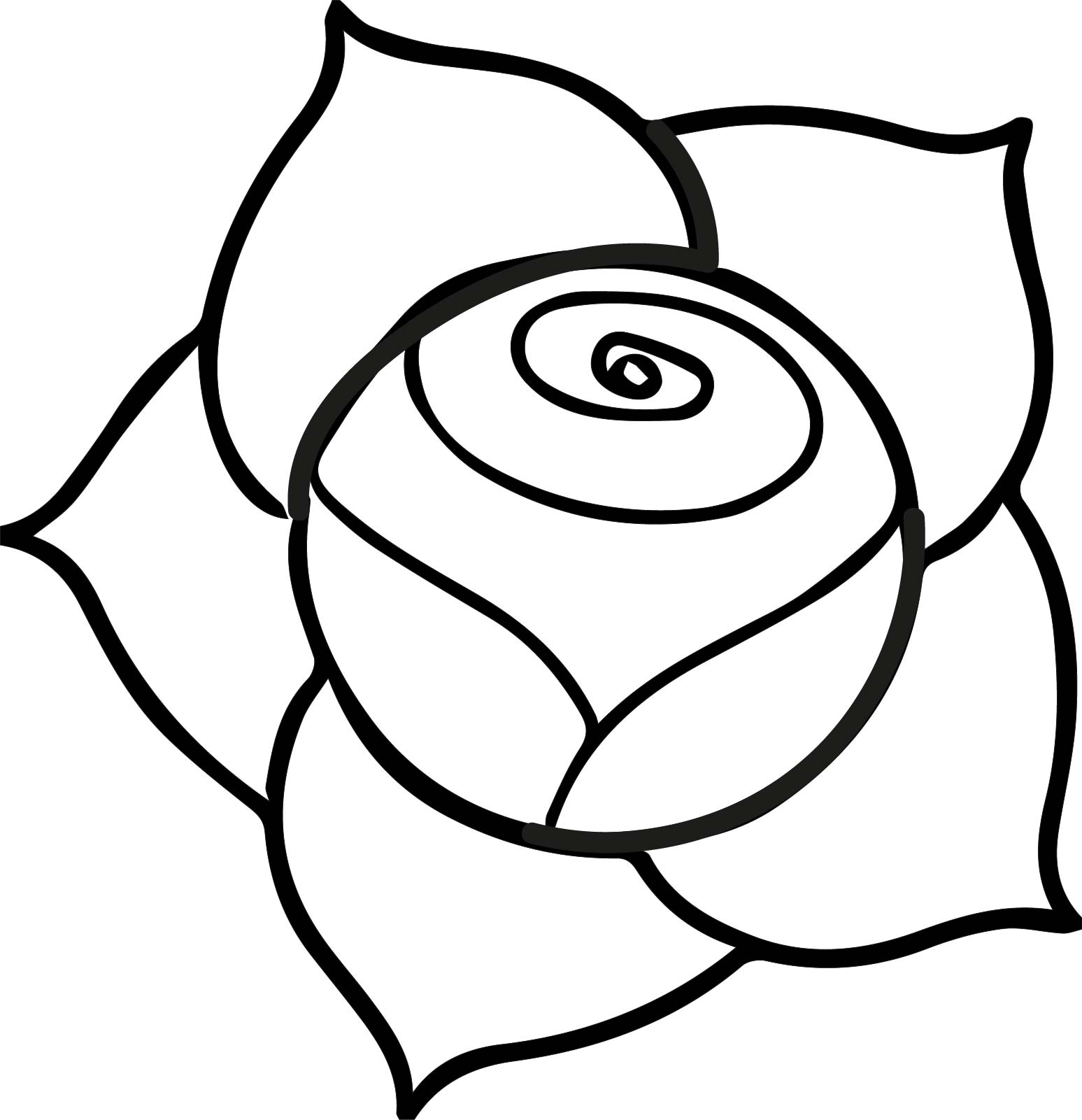 1547x1601 A Illustration Of A Pink Rose With Dark Outline On A White