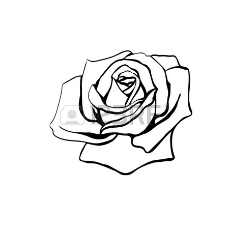 Rose Black And White Outline | Free download on ClipArtMag