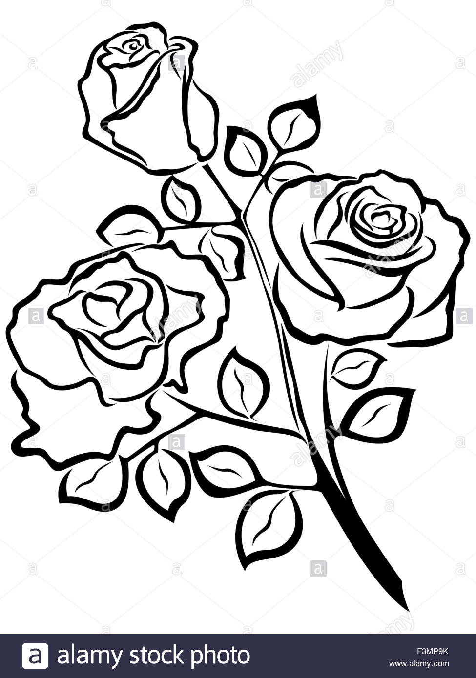 975x1390 Black Outline Of Rose Flowers Isolated On A White Background