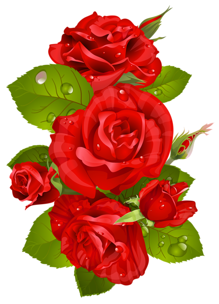 432x600 Red Rose Decoration Transparent Png Clip Art Image Cvetia