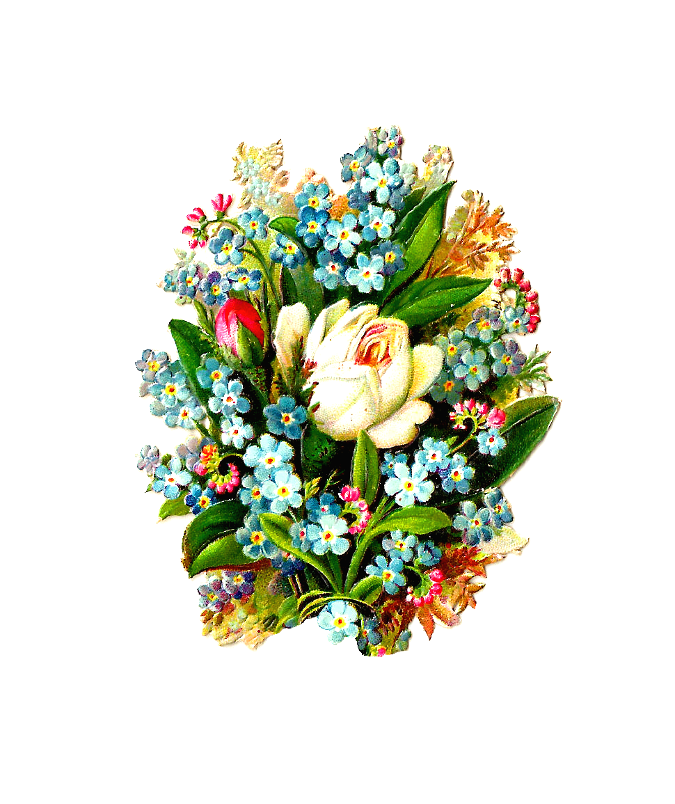 970x1155 Antique Images Free Digital Flower Clip Art Graphic Of White