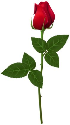 Rose Bud Clipart | Free download on ClipArtMag