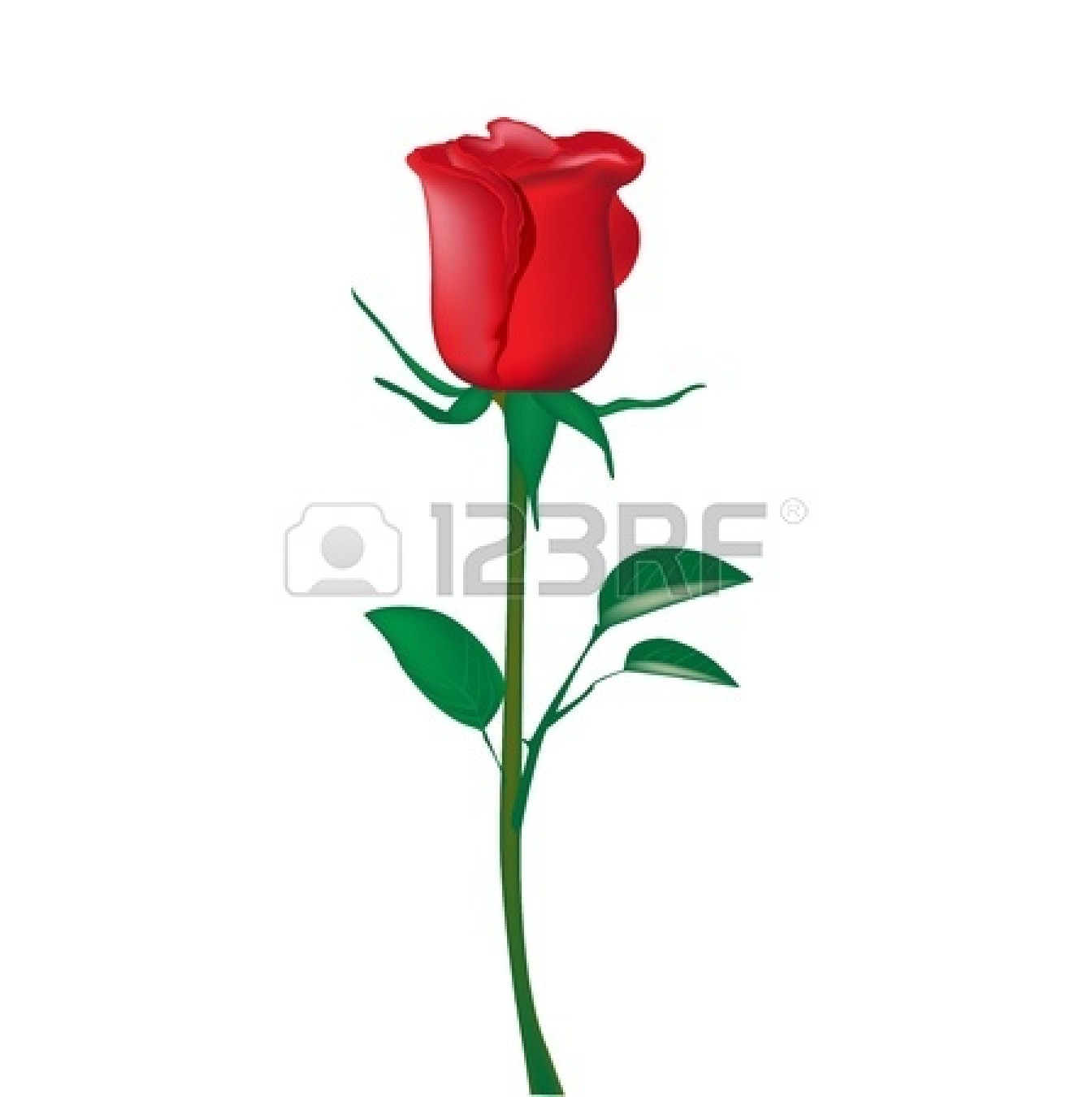 1344x1350 Stem Clipart Rose Bud