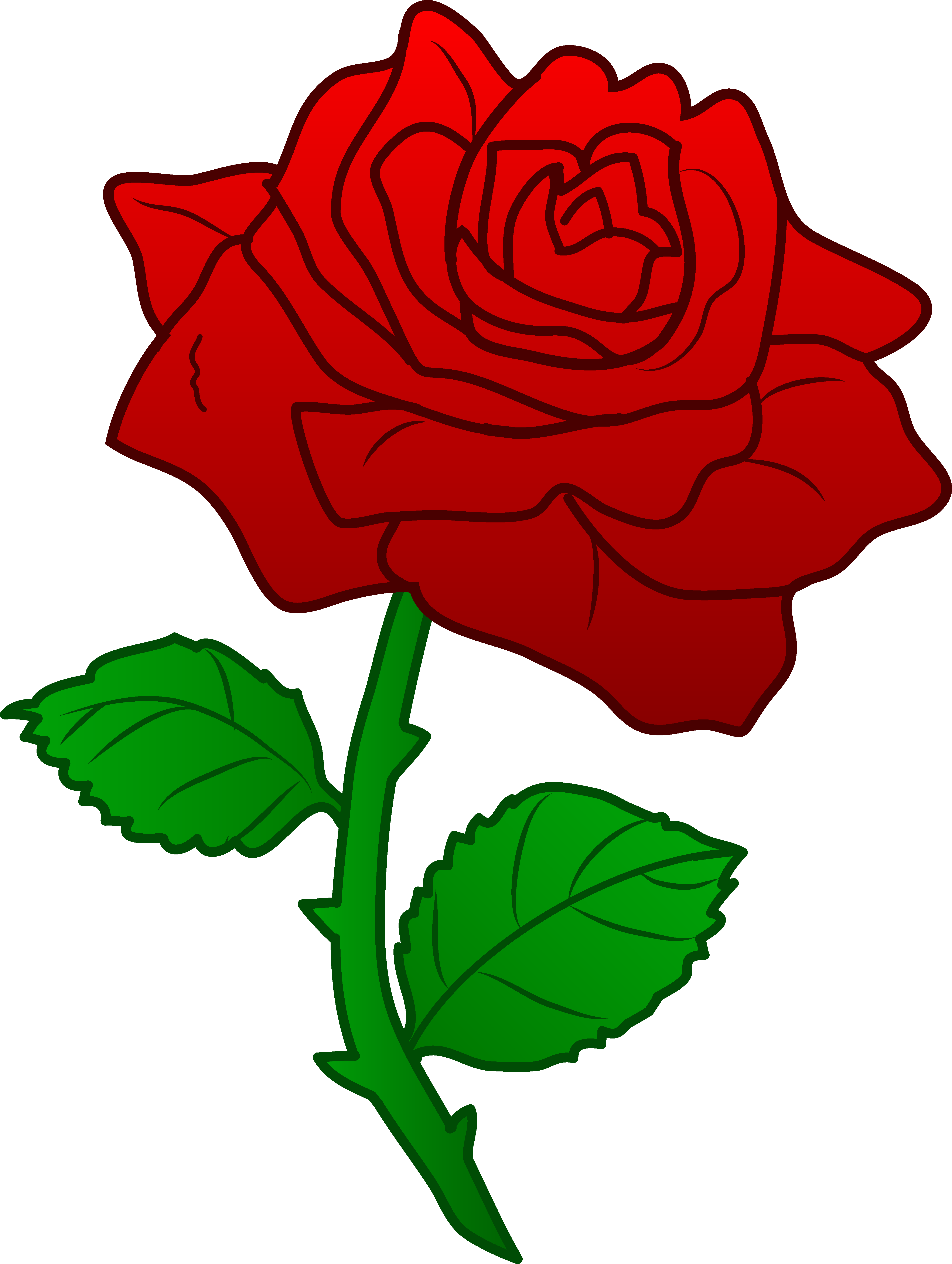 4481x5947 Top 75 Roses Clip Art