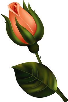 Rose Bud Clipart | Free download on ClipArtMag