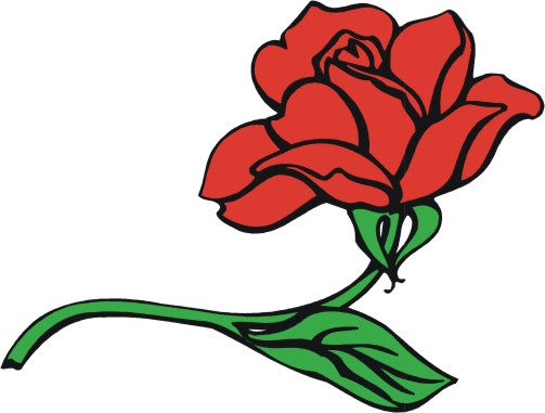 503x381 Red Rose Clipart Easy Cartoon