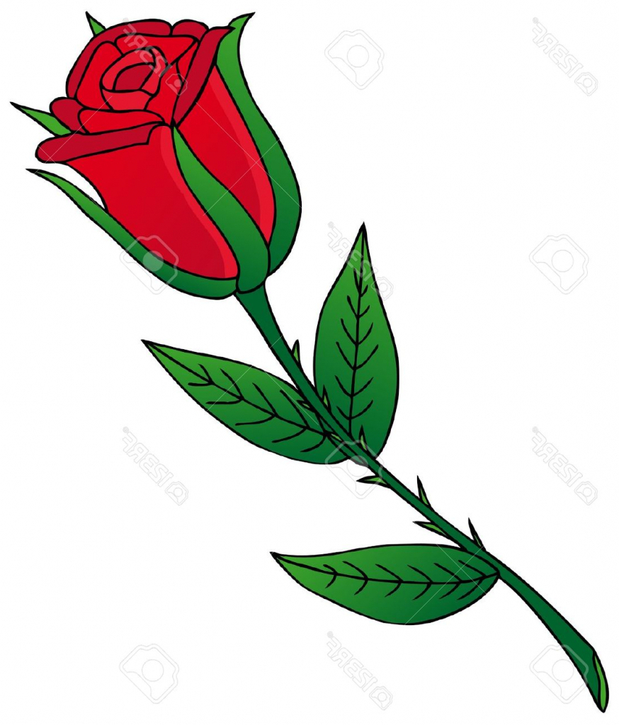 874x1024 Cartoon Drawing Rose Rose Cartoon Drawing