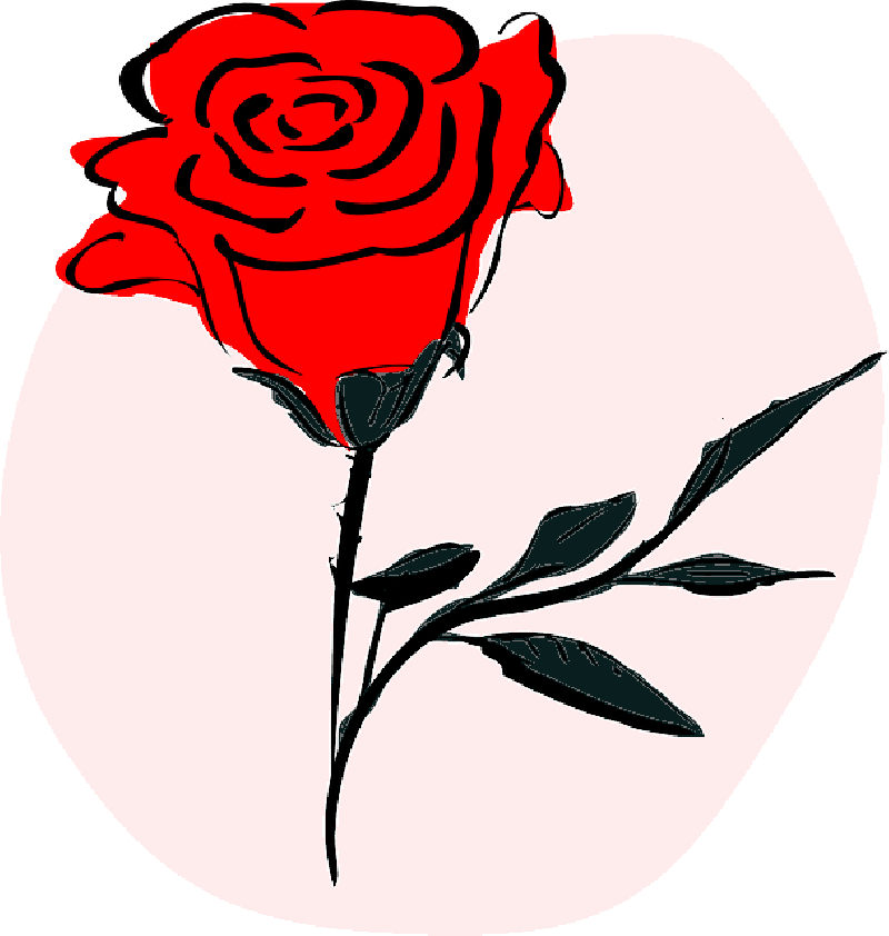 800x842 Red, Drawing, Flower, Coloured, Flowers, Cartoon, Love