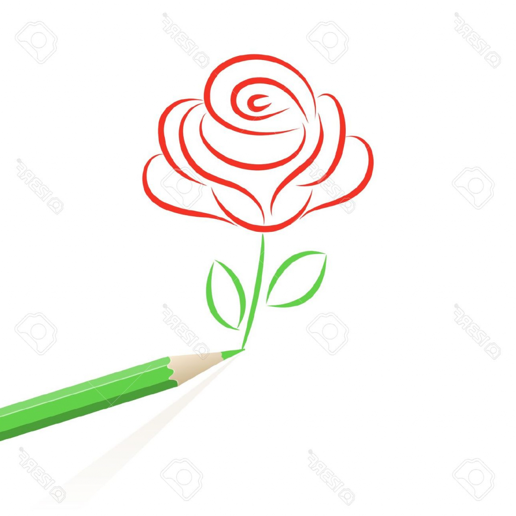 1024x1024 Rose Cartoon Drawing Red Rose Cartoon Clipartsco