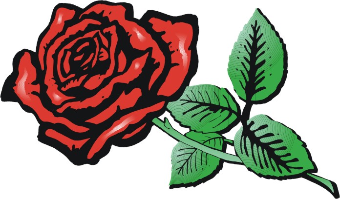 696x408 Rose Cartoon Images
